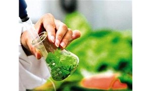 合肥食品檢測：重金屬元素中常見的元素有哪些？